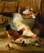 unknow artist Cocks 105 oil painting picture wholesale